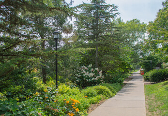 Sidewalk Path with Garden Plants and Elegant Light Pole Nestled in Bushes – Lush Landscaping, Outdoor Walkway, Decorative Garden Lighting, Serene Setting, Greenery Border, Natural Urban Design