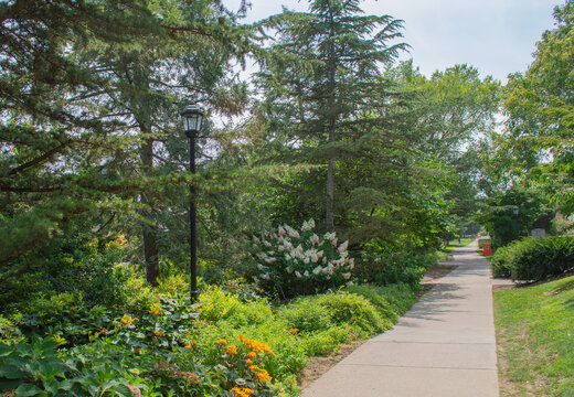 Pleasant Path