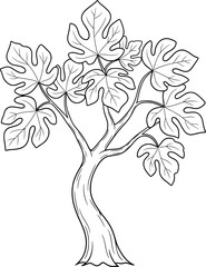 Fototapeta premium Fruitless fig tree with curved trunk and wide leaves with hand-drawn style
