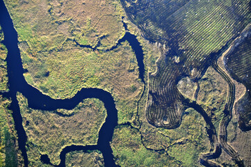 Aerial drone view of the braided Narew River in Poland, a stunning natural wetland landscape