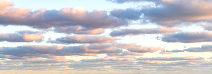 Sky with clouds. Cloudy skyscape background. Cloudscape sky background. Cloud in the sky....
