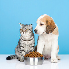 F&uuml;tterung Katze und Hund