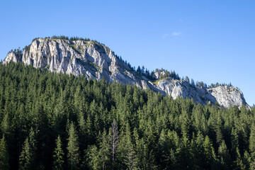 stunning natural landscape featuring a rocky mountain peak covered in pine trees under a clear blue sky. a perfect image for travel and nature themes