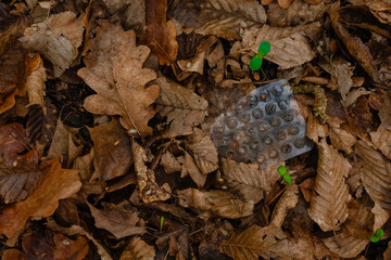 Macro photo of a discarded transparent blister pack lying on dry oak and beech leaves in the forest. Symbol of environmental damage and pollution in natural habitats. Early spring growth visible