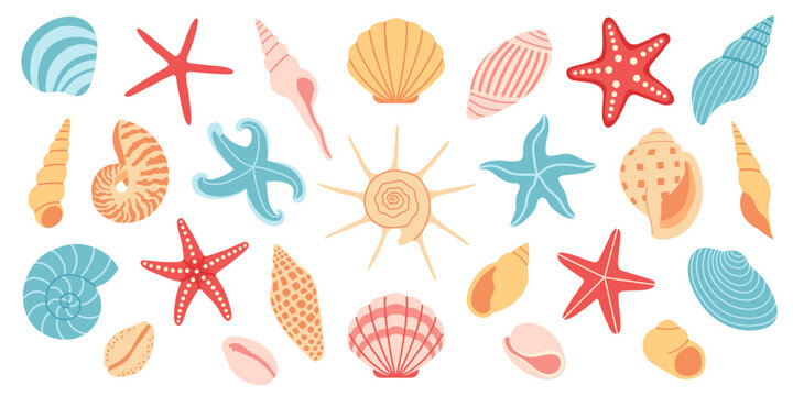 Set of colorful cartoon sea shells and starfish in various shapes, colors. Isolated back. For scrapbooking, summer, sea, ocean, beach, vacation, tropical, card design. Flat vector. Hand drawn items.