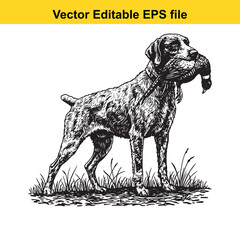 Wirehaired Pointing Griffon Vintage Black & White Hunting Dog Illustration with Pheasant – Standing, Jumping, and Hunting Pose