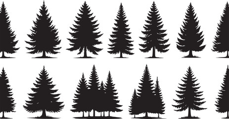 A vector illustration of fir and pine trees with snowy branches and a fern frond set against a winter forest backdrop for the holiday season