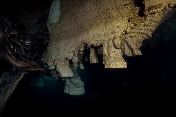 Underwater cave formations glow in a dark, mysterious cavern.
