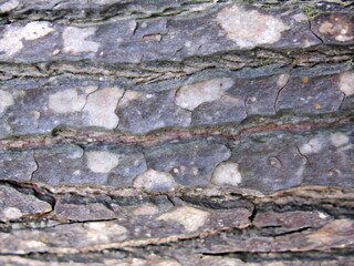 Obraz premium abstract macro background close-up 