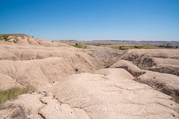 Group of elk in the wild at the Rocky Mountains National Park, Colorado