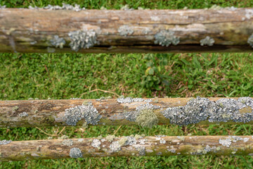 Obraz premium Wooden fence with vegetation developing due to strong humidity. Parish of Santo Espírito-Santa Maria-Azores-Portugal.