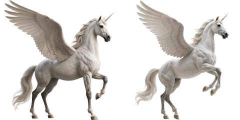 ペガサス　馬　幻獣　動物