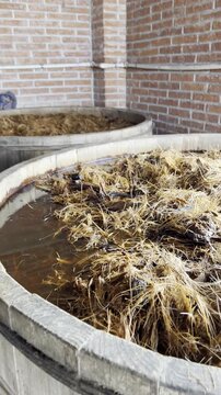 Fermentando en vivo