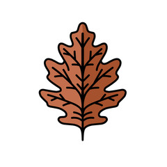Illustration of an oak tree leaf, use it as an icon, sticker or logo.