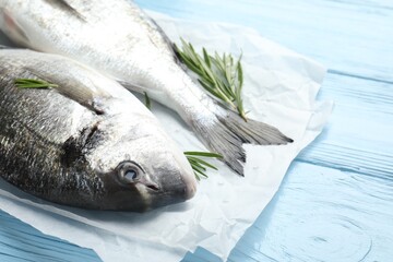 Fresh raw dourade with spices on blue wooden table, closeup. Fish and seafood delicacies