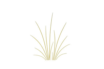 Fototapeta premium Dry grass tuft growing on transparent background, perfect for adding a touch of nature to designs
