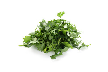Obraz premium Pile of fresh cilantro sprigs isolated on white