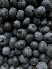 blueberries in a bowl
