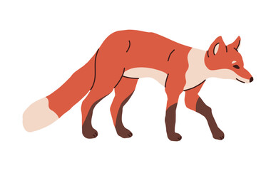 Red fox woodland wild animal. Sneaking fox during hunting, wild animal pose, cartoon neat vector illustration original artwork