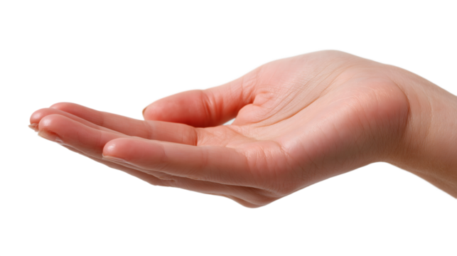 Human hand held open in a cupped gesture, palm facing up, representing giving, offering, request, or receiving, commonly used in concepts of charity, support, or care, isolated on white background.