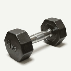 Single Black 1KG Dumbbell with Silver Handle for Strength Training