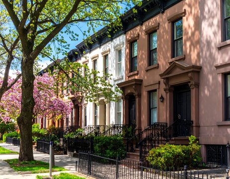 Fototapeta Row houses with spring blossoms