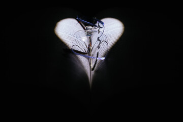 Open book illuminated with heart-shaped light and glasses on a black background.