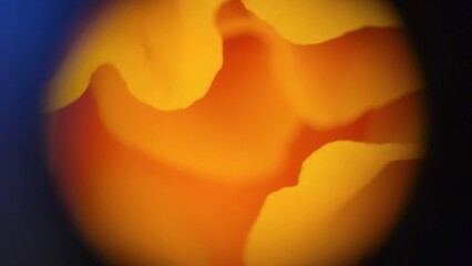 abstract orange background