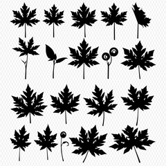 A diverse collection of black leaf silhouettes, featuring various shapes like papaya and maple leaves, set against a transparent background.
