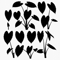 A collection of black silhouettes depicting tropical elephant ear plants and individual heart-shaped leaves.