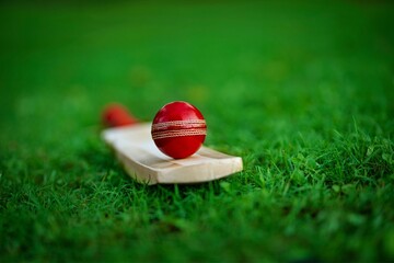 Red Cricket Ball on Bat – Isolated Focus on Equipment
