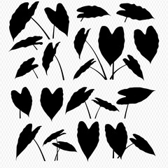 A graphic collection of various black silhouettes of tropical elephant ear leaves and plants.