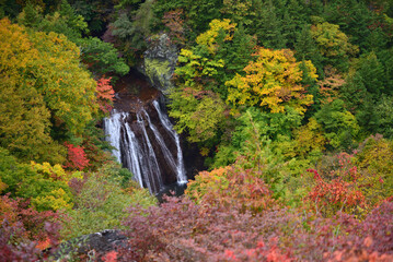 錦秋の渓谷美　蓼科・横谷渓谷