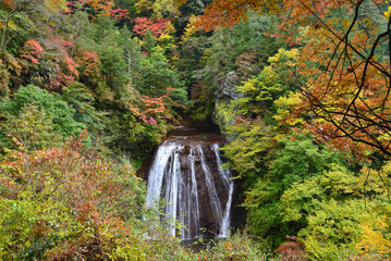 錦秋の渓谷美　蓼科・横谷渓谷
