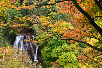 錦秋の渓谷美　蓼科・横谷渓谷