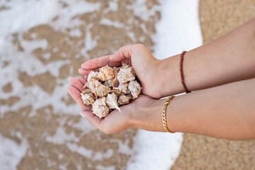 Gift from the ocean, a handful of shells. In hands sea shells background image