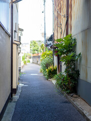 大阪府池田市の路地の風景