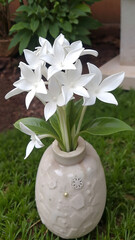 Lilies in a vase in the garden. Decorative garden still life.