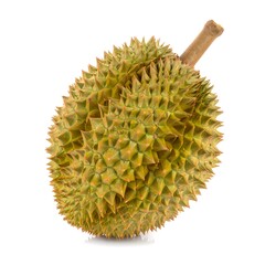 Durian fruit close-up