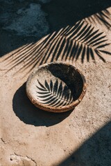 Sunlit earthenware bowl with leaf design, cast shadow