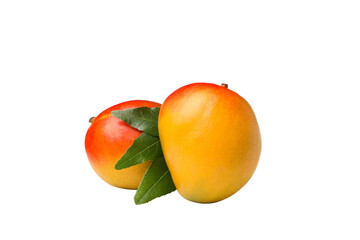 Two bright mangoes with green leaves, isolated on white, PNG