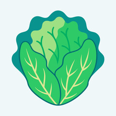 Vibrant green lettuce head illustration