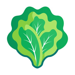 Stylized green lettuce leaves with white veins