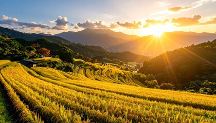 夕焼けに染まる秋の稲穂と田園
