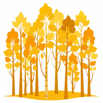 Golden aspen grove trees with leaf vector on white background.