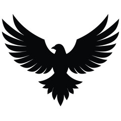 Fototapeta premium Adobe Illustrator Artwork