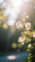 Obraz premium Soft Bokeh Flowers in Sunlight Blur