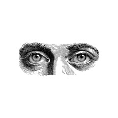 Fototapeta premium Engraving style illustration of human eyes with detailed irises in black and white on transparent background – Medical vector for healthcare posters, allergy brochures, and anatomy textbooks