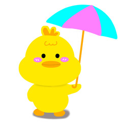 Chubby and cuddly duck