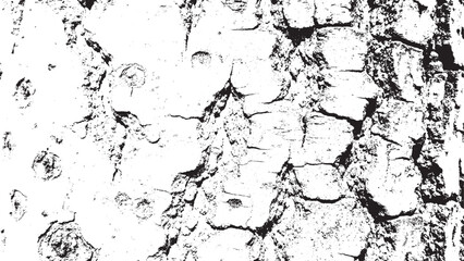Monochrome Distressed Tree Bark Grunge Texture